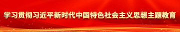 躁逼免费学习贯彻习近平新时代中国特色社会主义思想主题教育